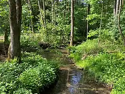 Dörpe bei Goldenbergshammer