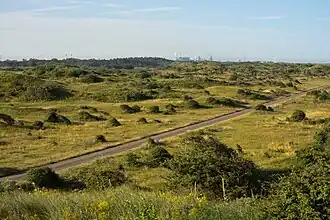 Bei Castricum Blickrichtung Süden mit Stahlwerk IJmuiden