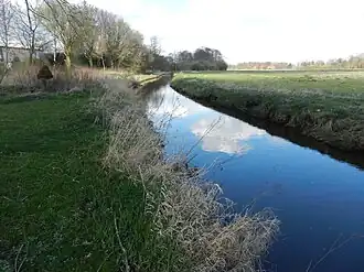 Strukturarmer Abschnitt des Dünsener Bachs in der Steller Heide