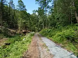 Forststeig im Tal der Dürren Biela