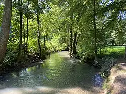 Düssel im Neandertal