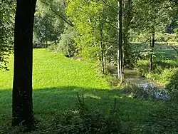 Düssel durchfließt Auwiesen