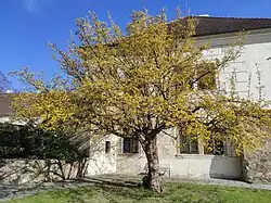 Kloster Zlatá Koruna