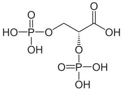 Struktur von 2,3-Biphosphoglycerinsäure