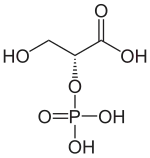 Strukturformel von D-2-Phosphoglycerinsäure