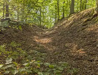 Abschnittswall im Osten