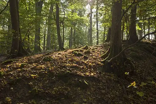 Bebauungsreste des Ringwalls