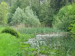 Untermühle Weiher, heute LSG