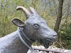 „Geißbock“ (vor Abfahrt)