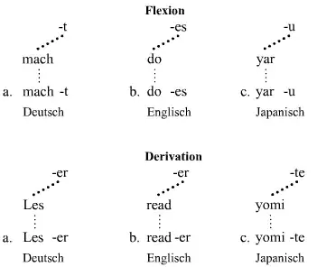 Intra-Wort-Katenae (Flexion und Derivation)
