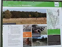 Naturerbefläche Wesendorf (ehemals Standortübungsplatz)