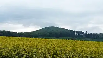 Blick von der K&nbsp;217 nahe Wiershausen zum Staufenberg