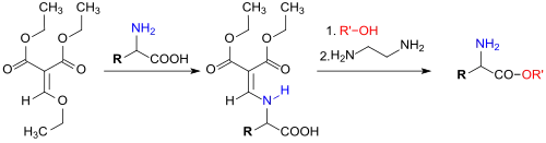 DEEMM als Schutzgruppe für Aminosäuren
