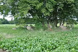 Großsteingrab Dahlem 1