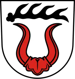 Rotes Büffelgehörn mit Grind (Sachsenheim&nbsp;DE)