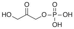 Struktur von Dihydroxyacetonphosphat