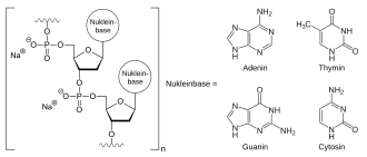 Defibrotid-Natriumsalz, schematisch