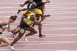 Erster Vorlauf kurz nach dem&nbsp;Start