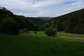 Blick zum Pferdskopf am Horizont vom Tal zwischen Sängelberg (links) und Pfaffenrod (rechts); in der Mitte vor dem Pferdskopf ist der östliche Ausläufer des Judenkopfs erkennbar.