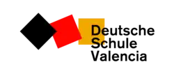 DSV Logo