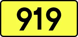 Droga wojewódzka 919