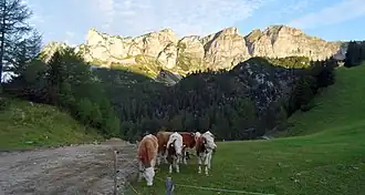 Dalfazer Wände, Blick von etwas unterhalb der Erfurter Hütte