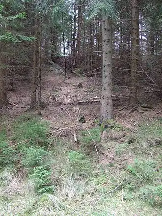 Dammböschung von der Wasserseite/Westseite