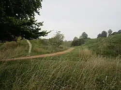 Im Danebury Hillfort