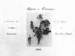 Einband des Albums der Familie Dapples aus Grezzano, Toskana, von 1904, das im Museum Casa d'Erci aufbewahrt wird.