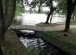 Darmbach als Zufluss des Großen Woogs (2014)