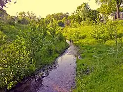 Renaturierter Darmbach im Bereich Lichtwiese (2012)