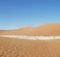 Dead Vlei