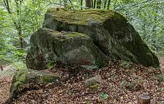 Naturdenkmal Felsblock „Großmutter“ am Nordhang