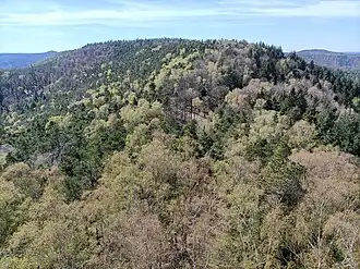 Der Gipfel des Vorderen Langenbergs von der Aussichtsplattform des Eckkopfturms aus fotografiert