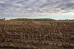Die Vareler Mülldeponie im Dezember 2018 aus Blickrichtung „Grashof“