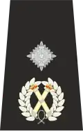 UK Police Deputy Chief Constable Epaulette