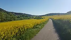 Der Radweg talaufwärts zwischen Unter- und Oberbalbach