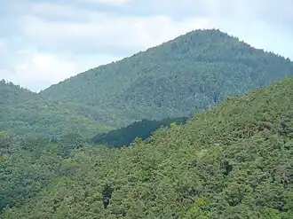 Der Rehberg als besonders prägnante Bergform mit vergleichsweise großer Schartenhöhe: Blick aus der Rheinebene Nähe Klingenmünster nach Westen