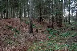 Der Vorwall der Brunsburg von Westen