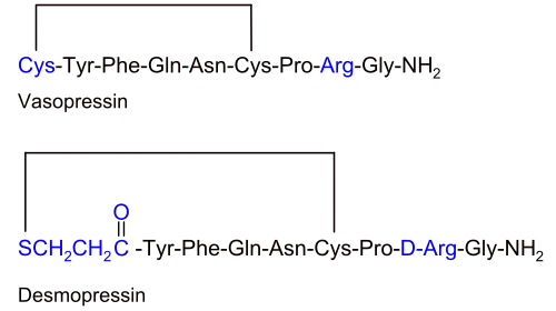 Primärstruktur von Vasopressin und Desmopressin.
