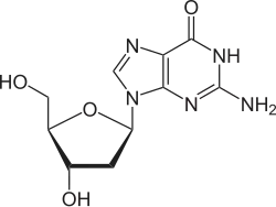 Desoxyguanosin