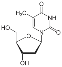 Strukturformel von Desoxythymidin