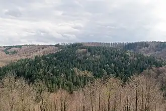 Langenberg von der Ruine Falkenburg gesehen