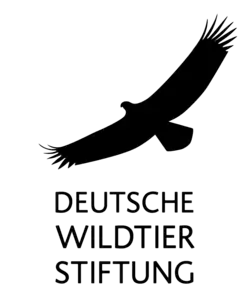 Logo der Deutschen Wildtier Stiftung