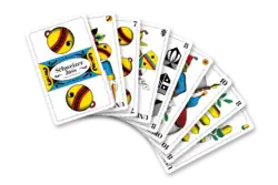 Deutschschweizer Jasskarten gefächert