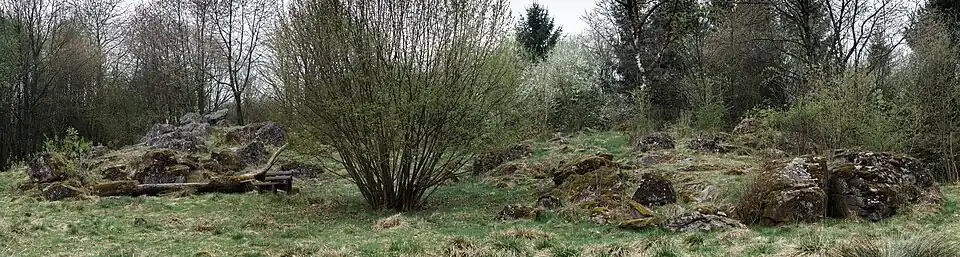 Naturdenkmal Dicker Stein
