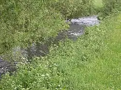 Die Amel bei Montenau