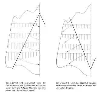 Einzelschnitte (A- und V-Schnitt) mit schematisiertem Haarprofil (Bisam)