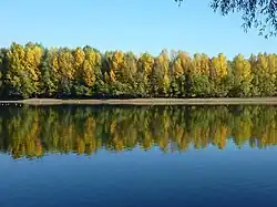 NSG Die Spey - renaturierter Rheinarm / ausgebaggerter See