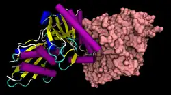 Diphosphomevalonat-Decarboxylase
